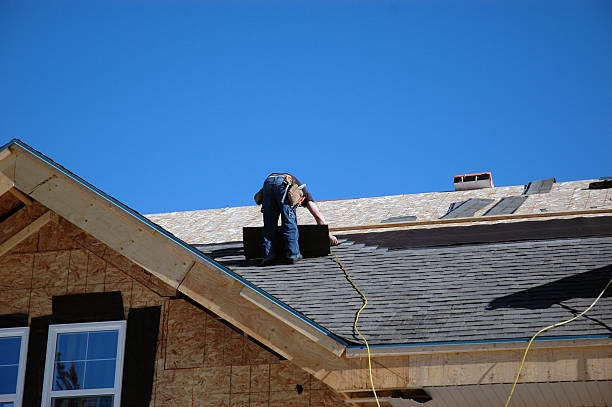 Best Storm Damage Roof Repair  in Oak Grove, TN