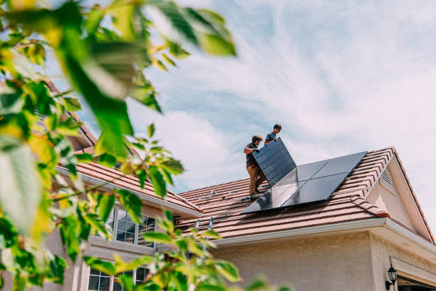 Best Roof Gutter Cleaning  in Oak Grove, TN